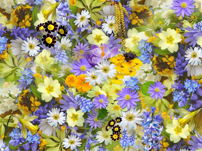 Floral Design