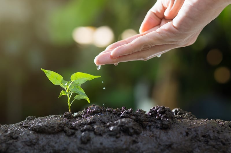 Gardening Event