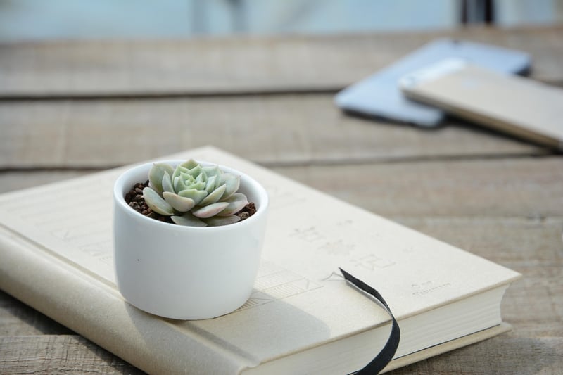 Plant Swap